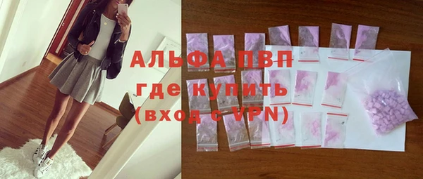 прущие грибы Волосово