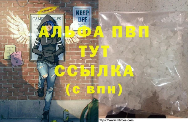 прущие грибы Волосово