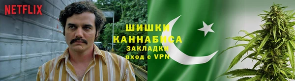прущие грибы Волосово