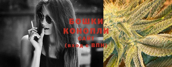 прущие грибы Волосово