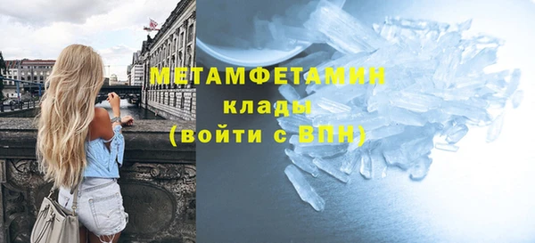 прущие грибы Волосово
