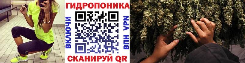 Марихуана сатива  Змеиногорск 